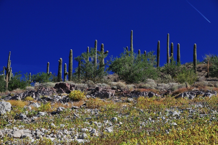 lake pleasant at low level